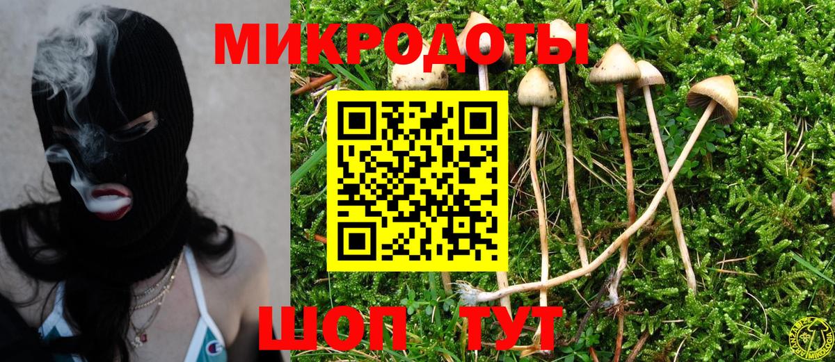 Галлюциногенные грибы мицелий Нарткала